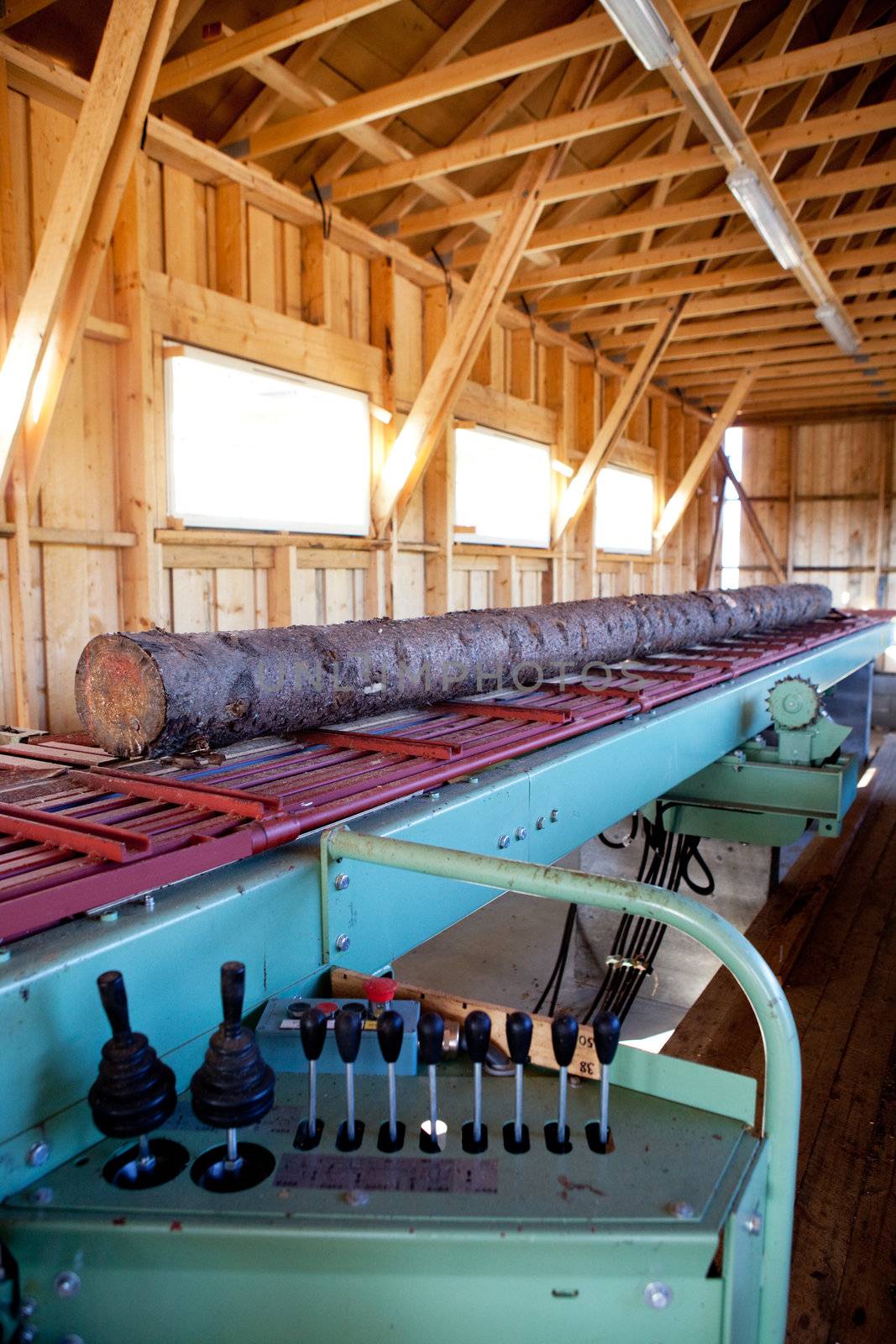 A lumber mill detail showing a log ready to be cut