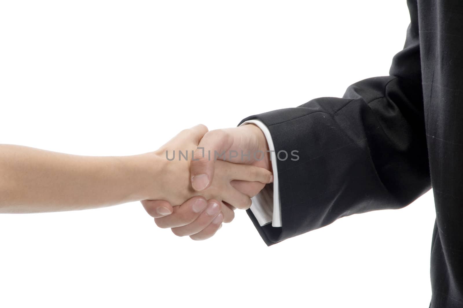 business shake hands against white background