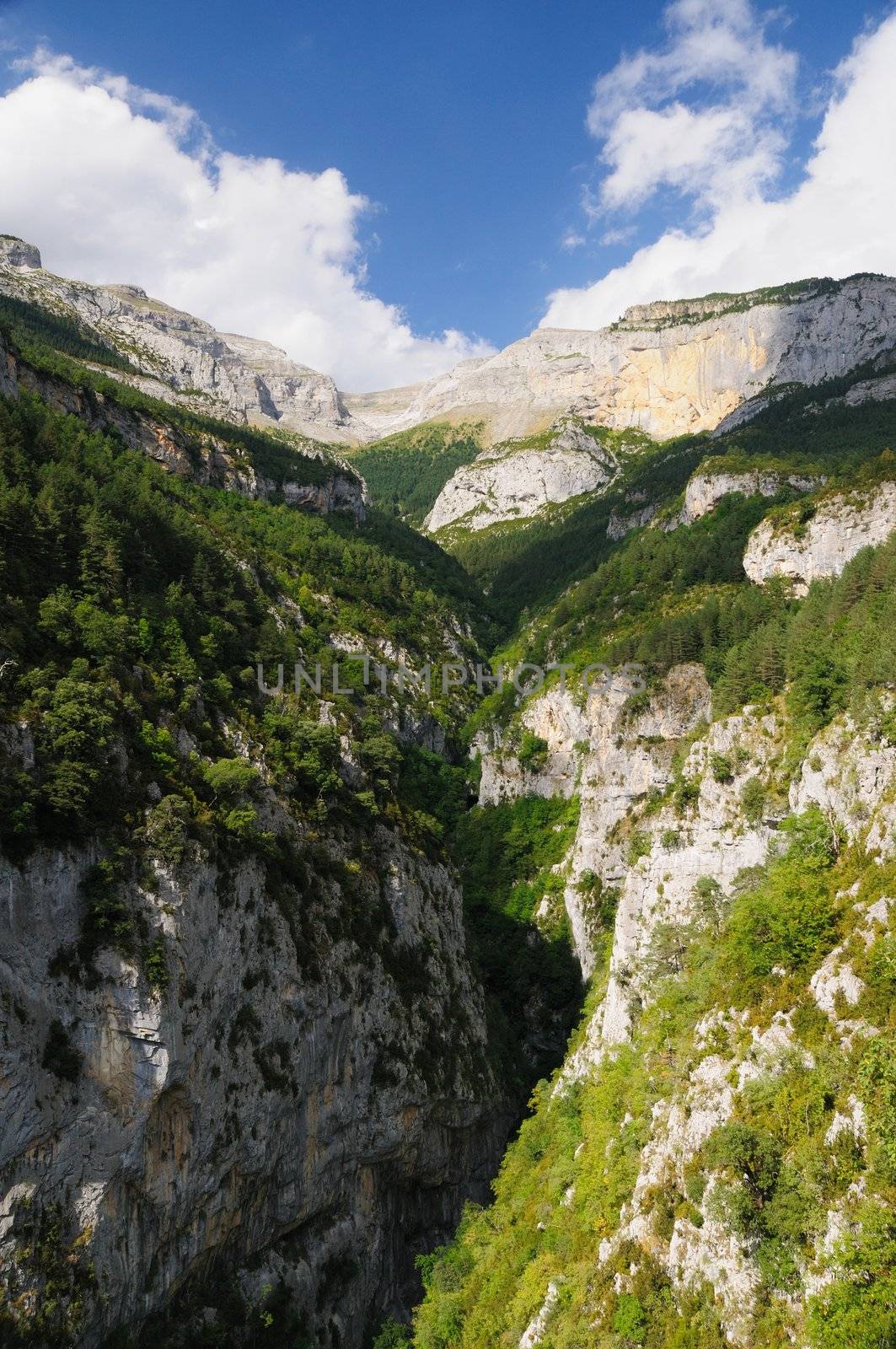 Pyrenees