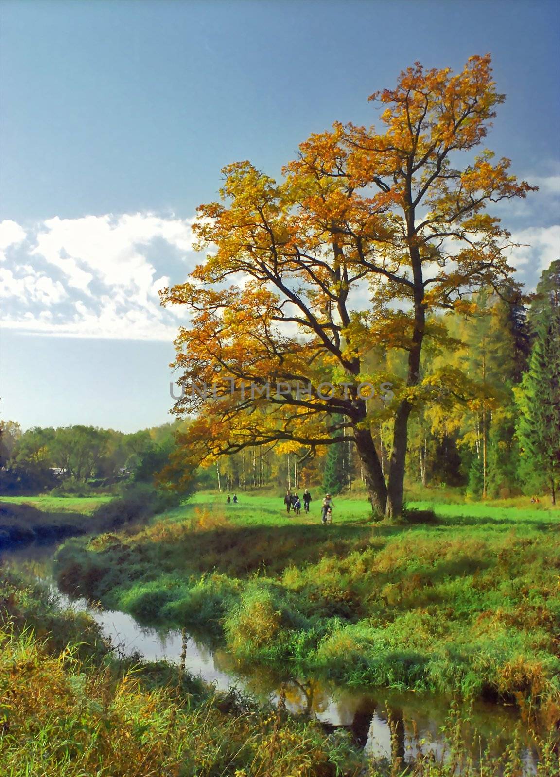 Rest at the riverside in autumn