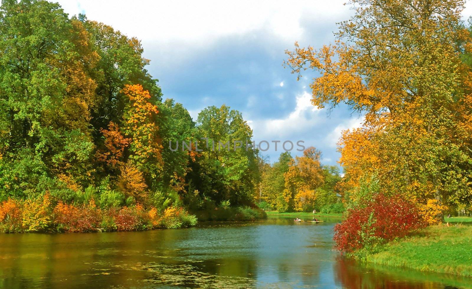 Intensive colors of autumn landscape with the lake