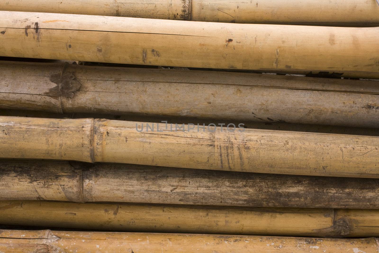 it is a close up of bamboo for background