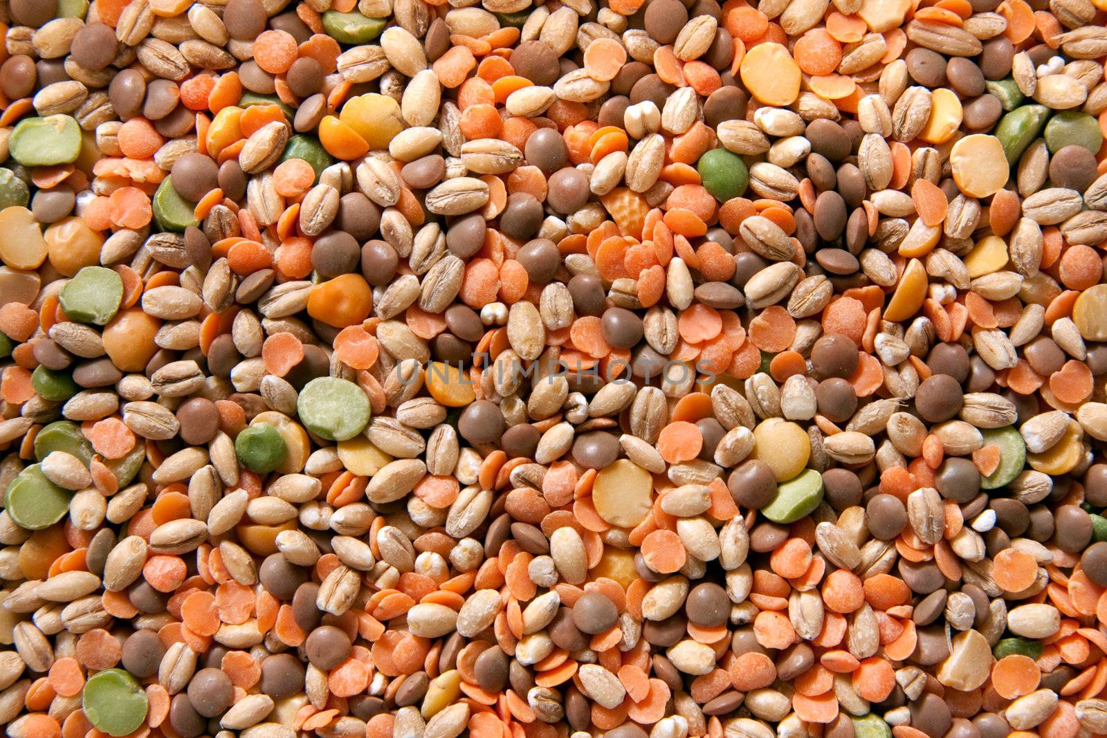 Close up on ingredients for lentil soup
