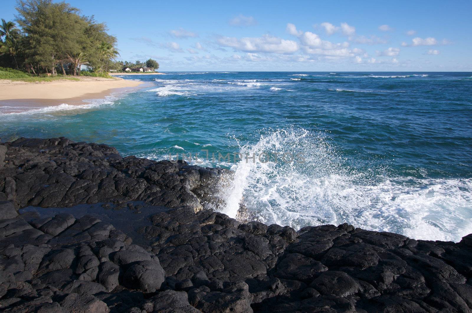 Tropical Shoreline on Kauai, Hawaii