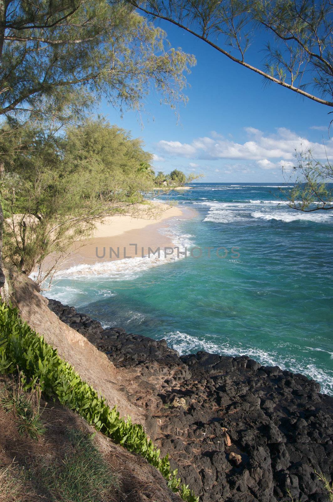 Tropical Shoreline on Kauai, Hawaii