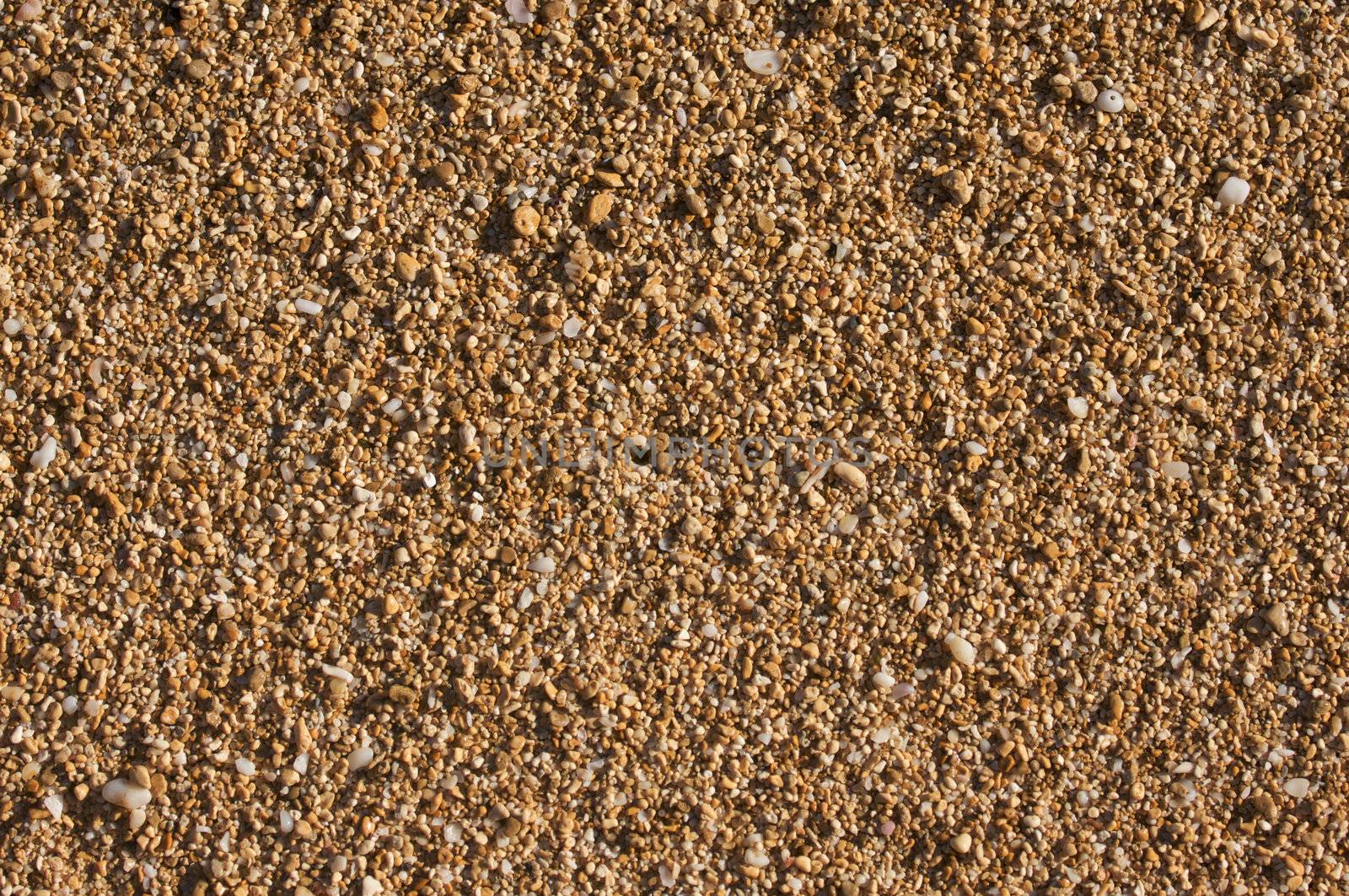 Trapical Sand and Shells Background Image