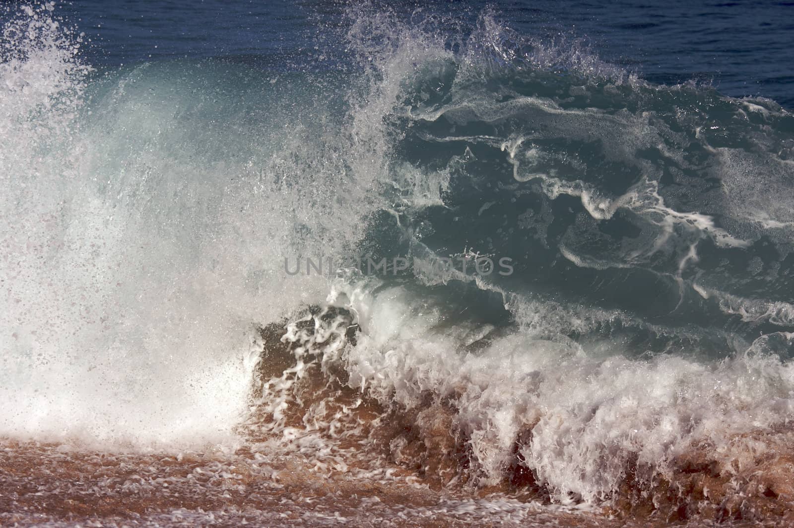 Dramatic Shorebreak Wave on a clear morning.