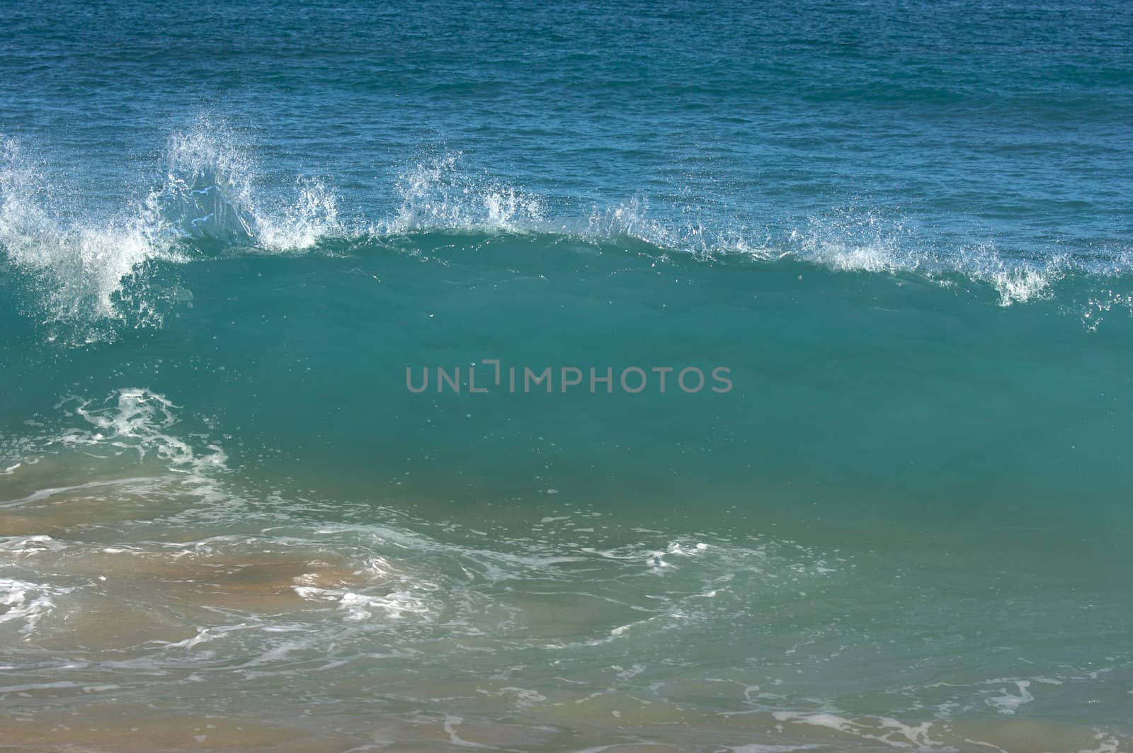Dramatic Shorebreak Wave on a clear morning.