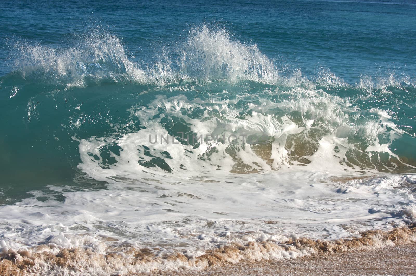 Dramatic Shorebreak Wave on a clear morning.