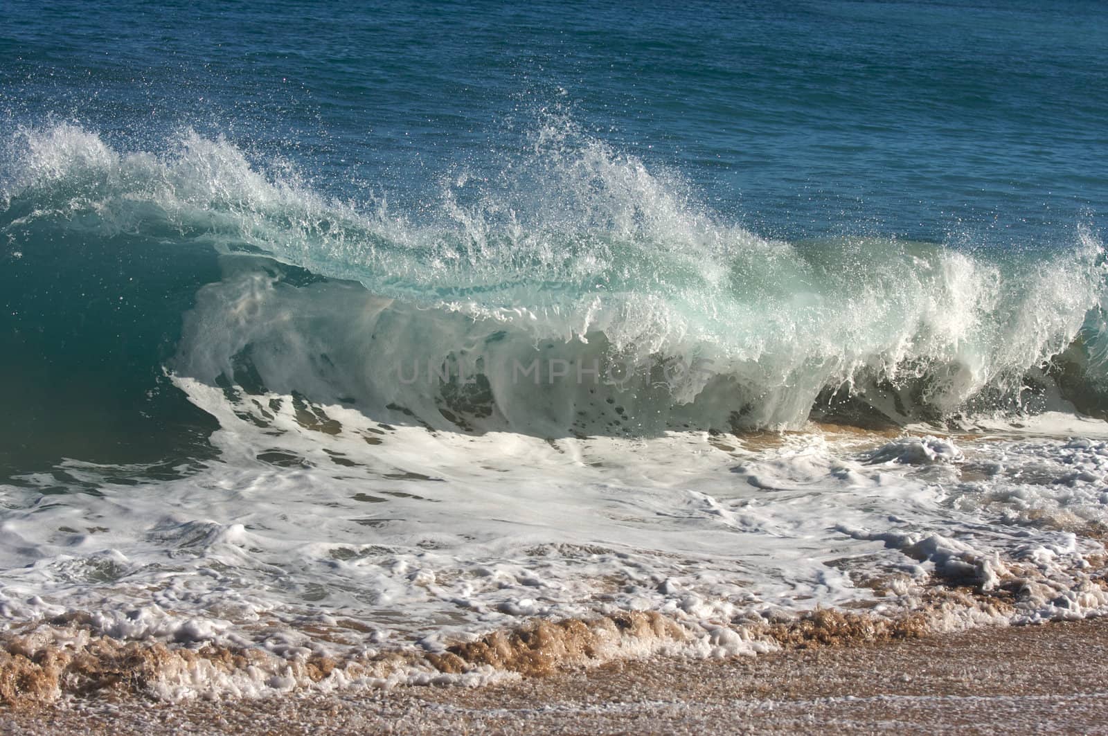 Dramatic Shorebreak Wave on a clear morning.