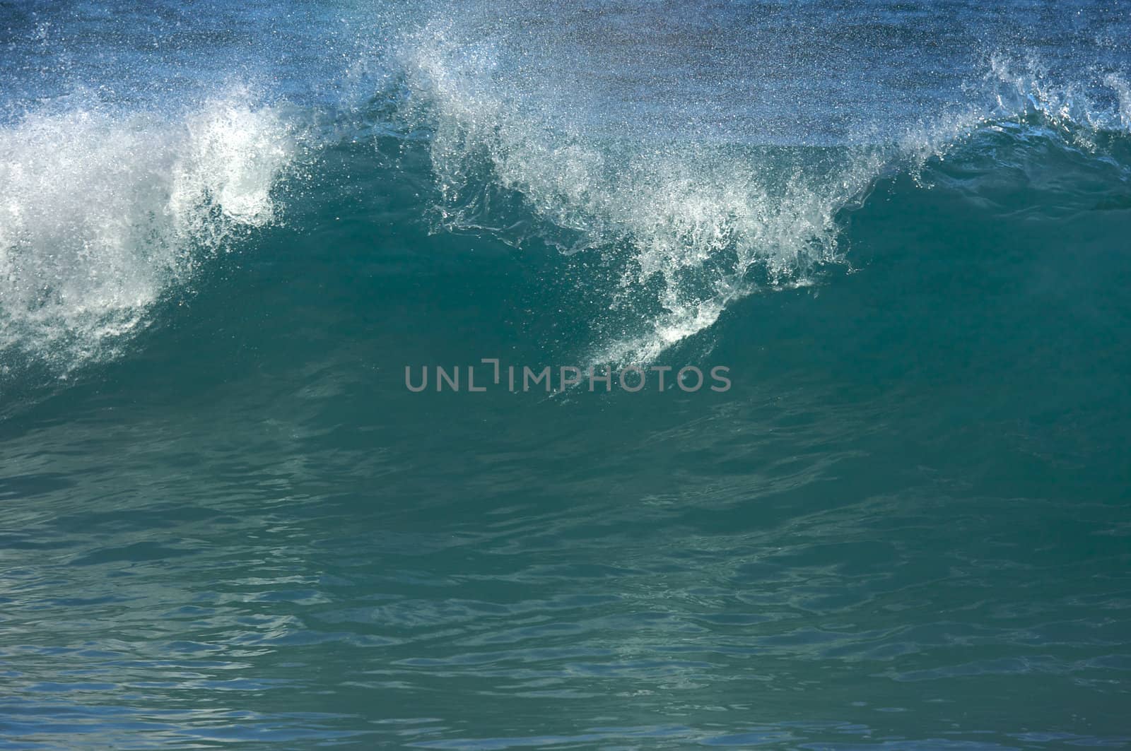 Dramatic Shorebreak Wave on a clear morning.