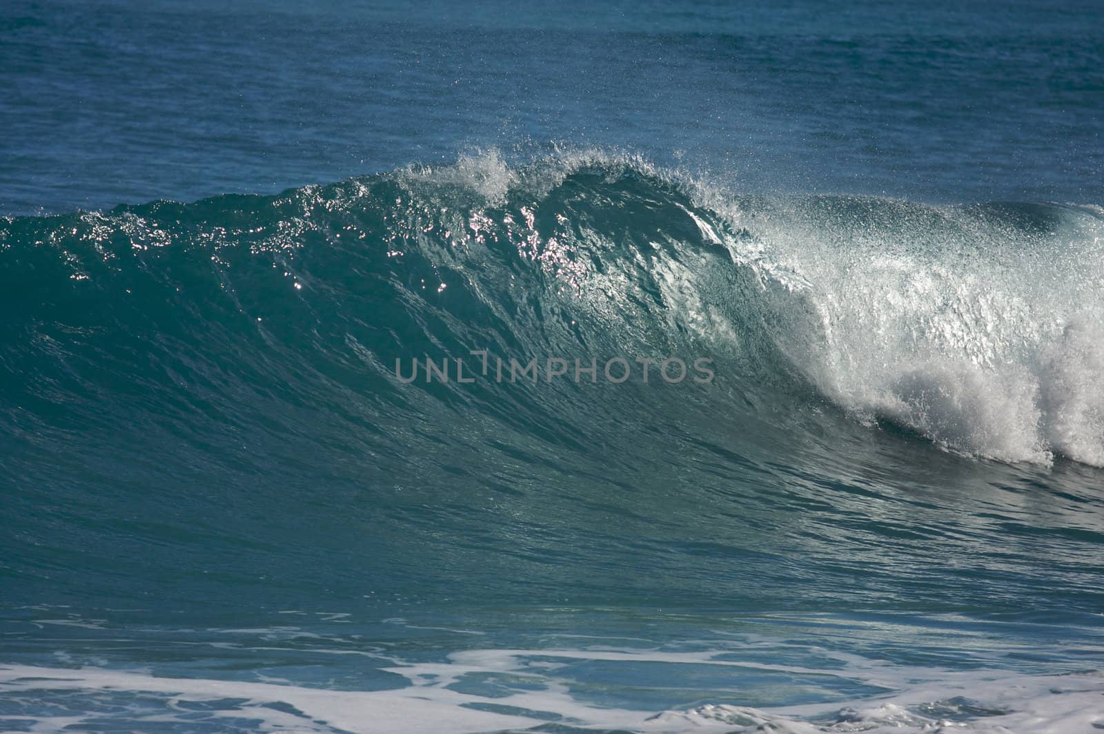 Dramatic Shorebreak Wave on a clear morning.