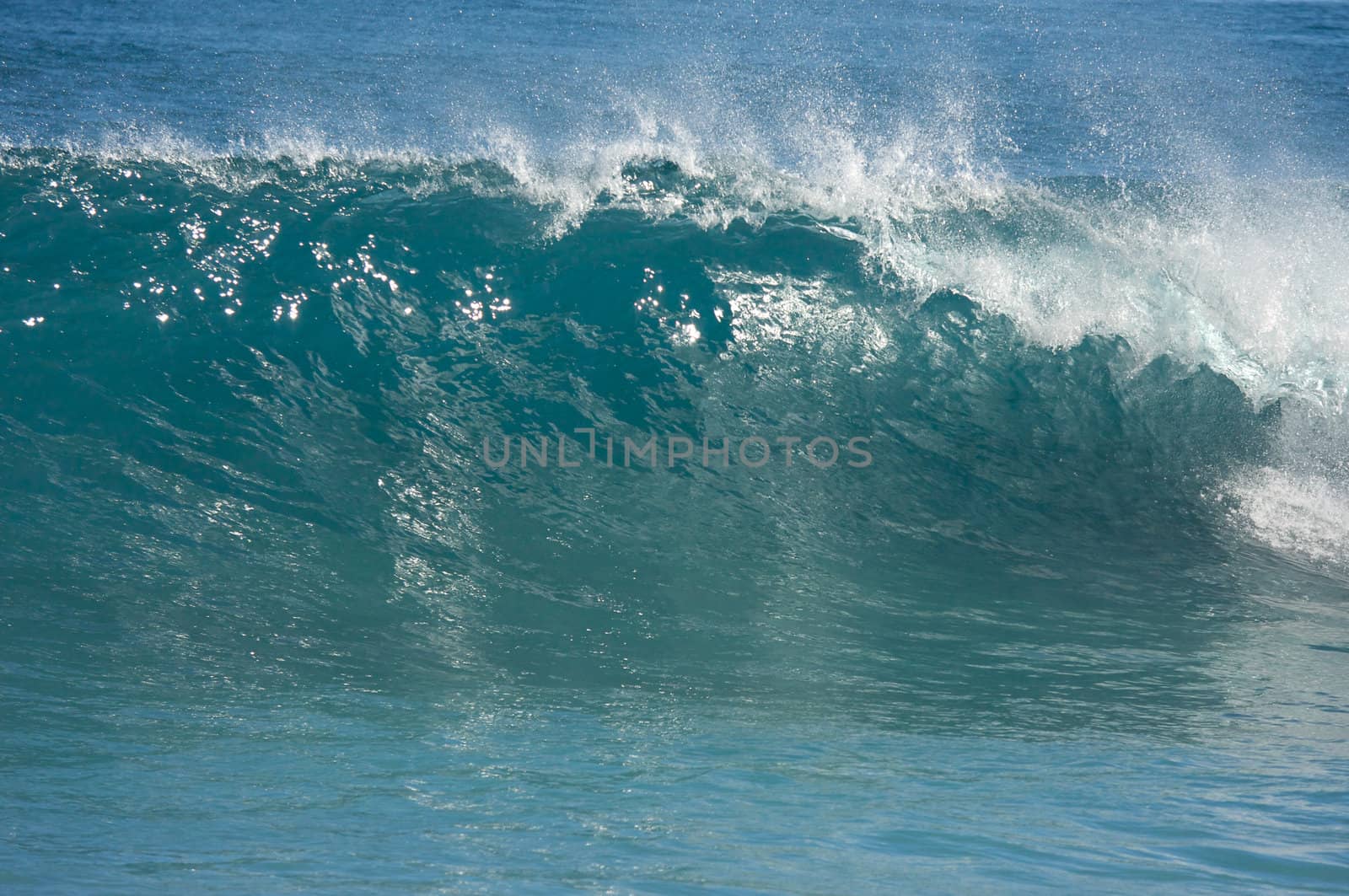 Dramatic Shorebreak Wave on a clear morning.