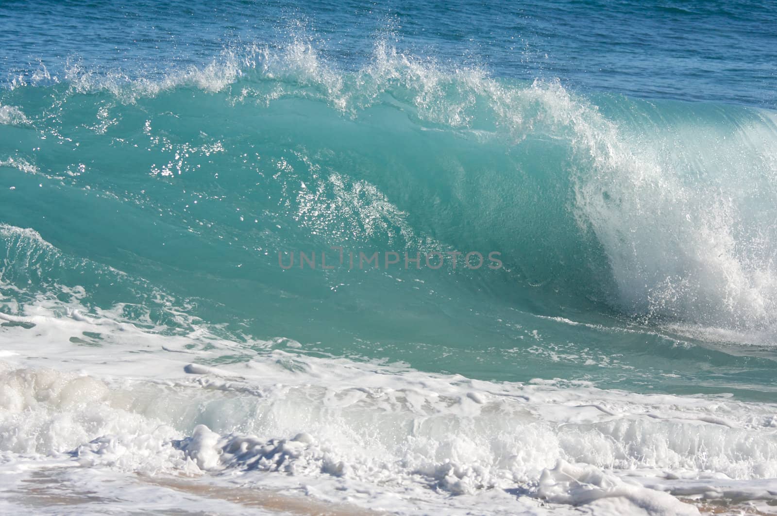 Dramatic Shorebreak Wave on a clear morning.