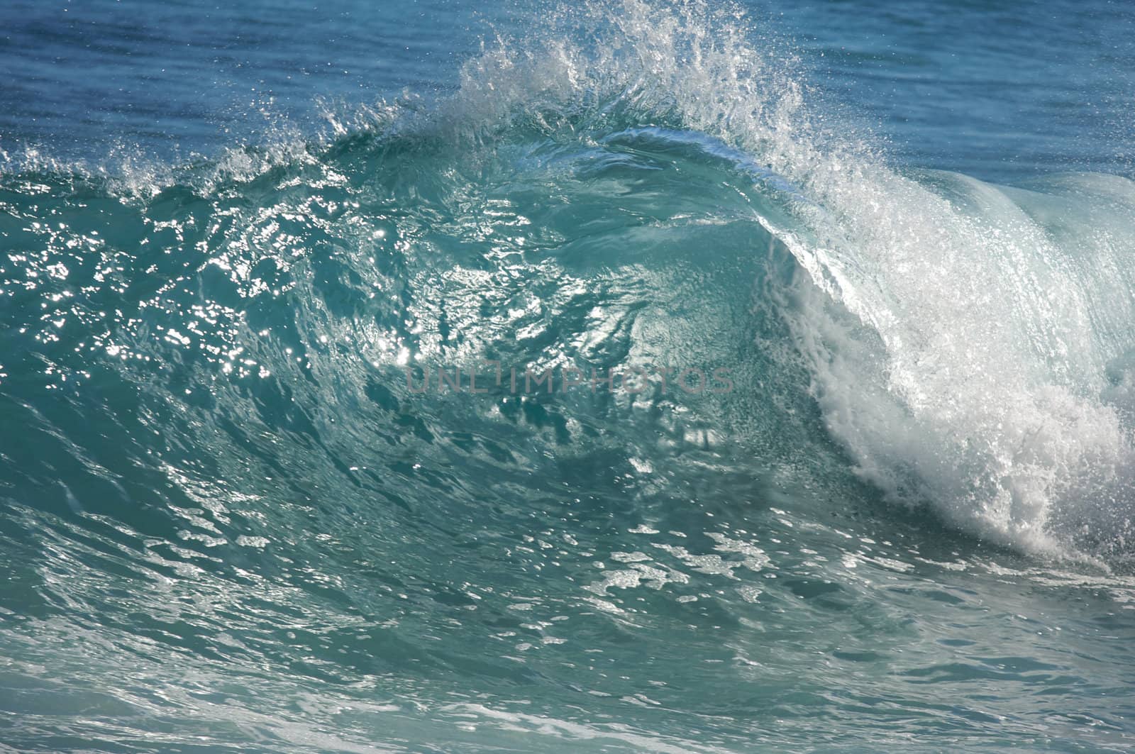 Dramatic Shorebreak Wave on a clear morning.