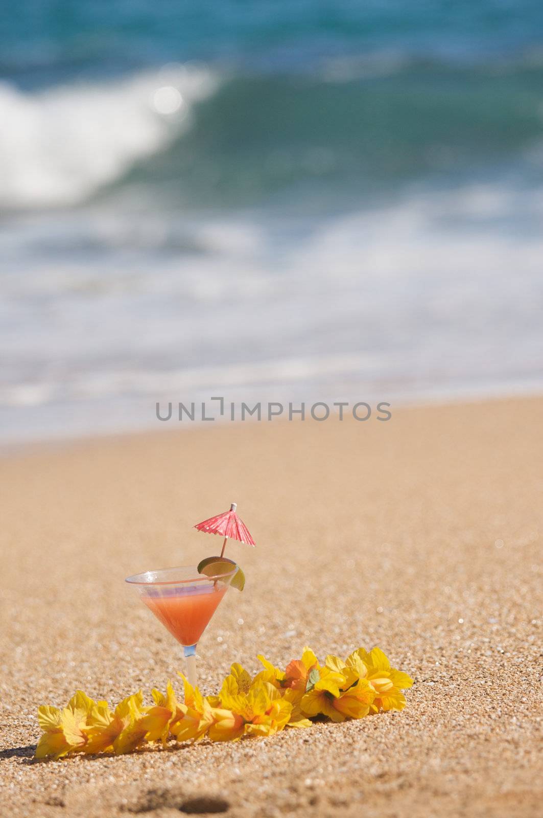 Tropical Drink on Beach Shoreline by Feverpitched