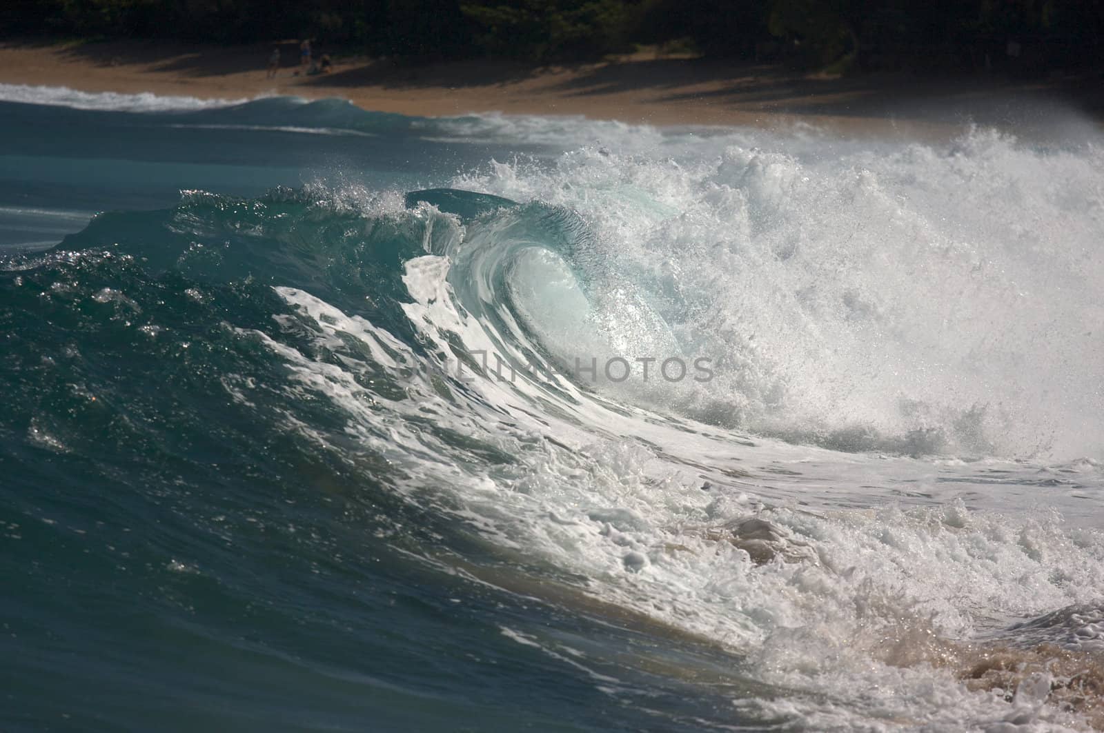 Dramatic Shorebreak Wave on a clear morning.