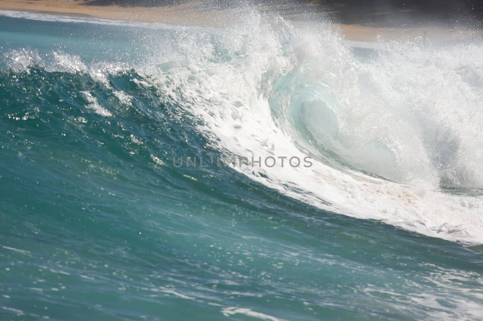 Dramatic Shorebreak Wave on a clear morning.
