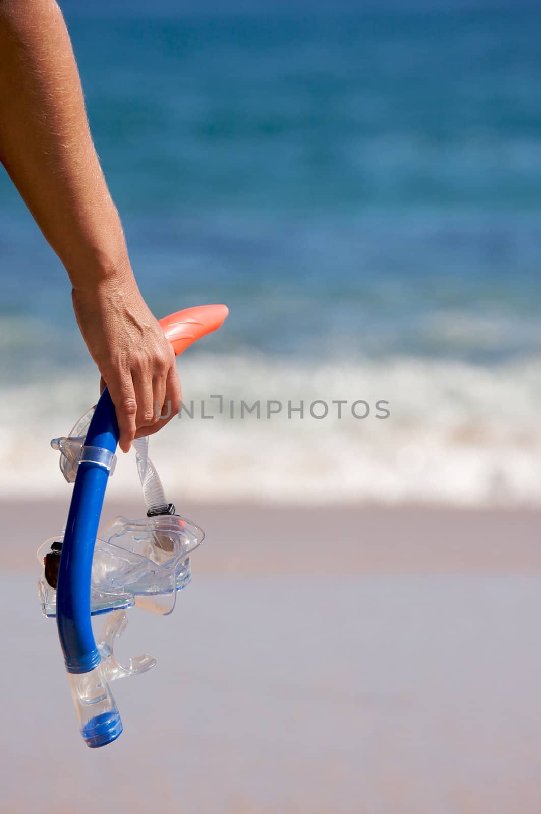 Woman Holding Snorkeling Gear on the shoreline.