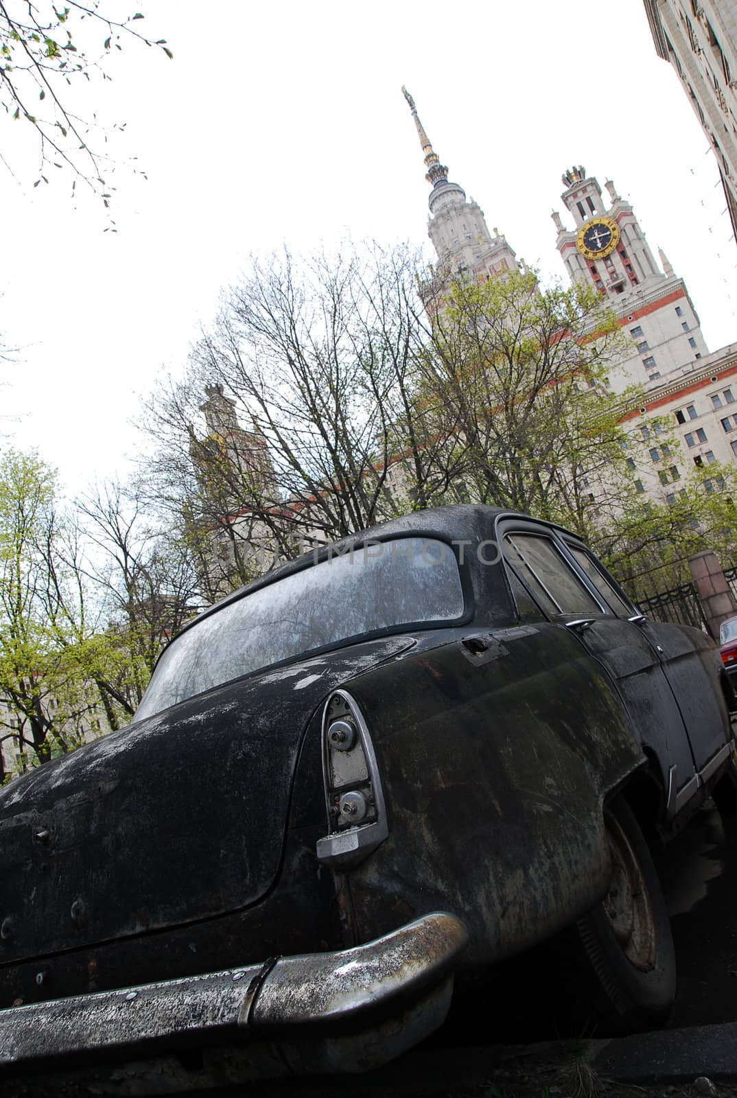 old car on a background of trees and high-rise building