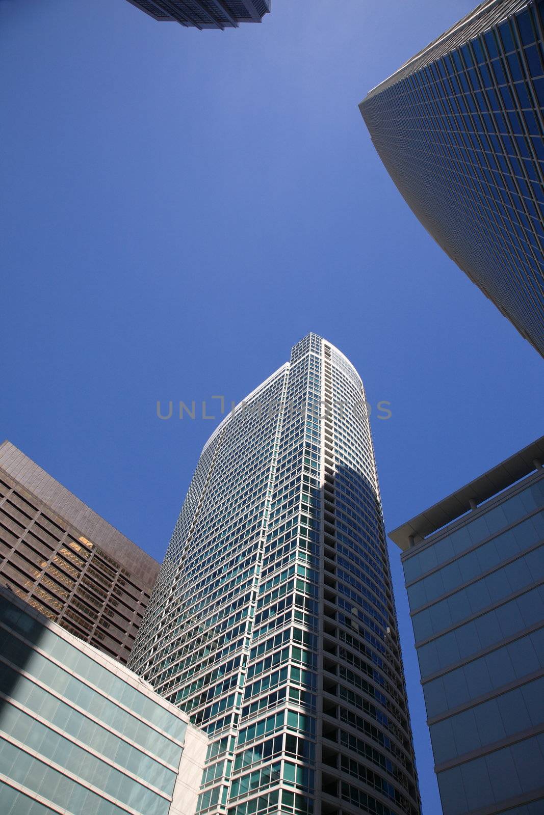 Chicago buildings rise into a blue sky
