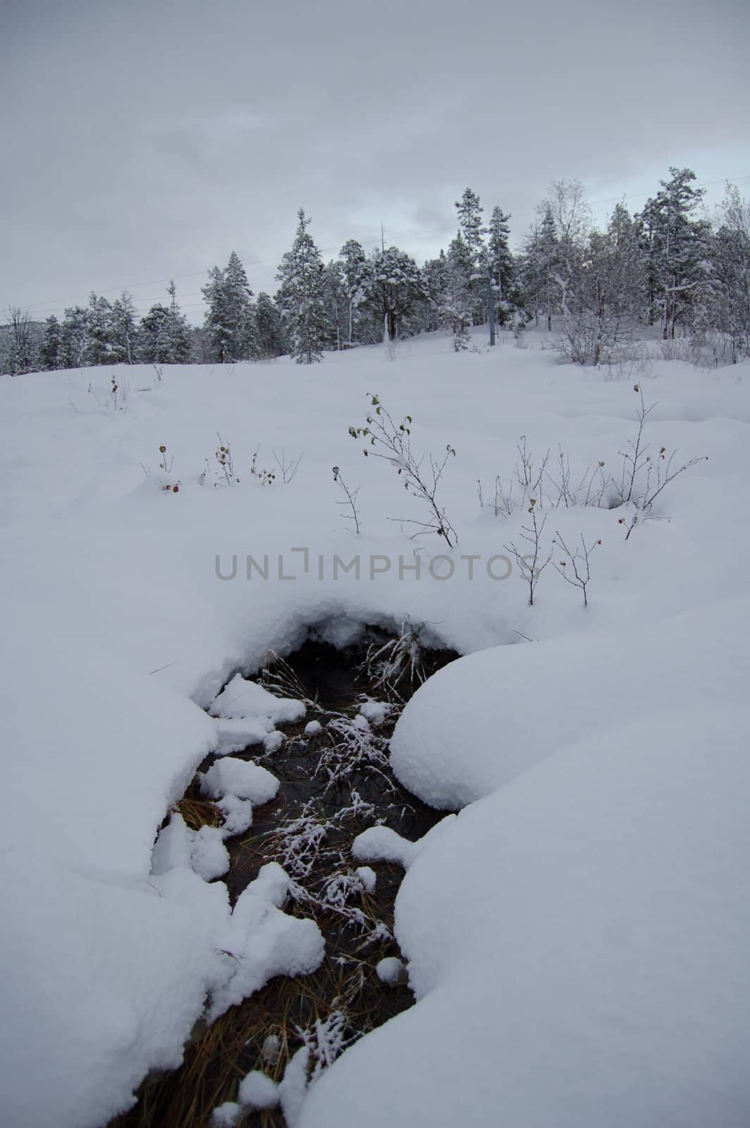 snowy creek