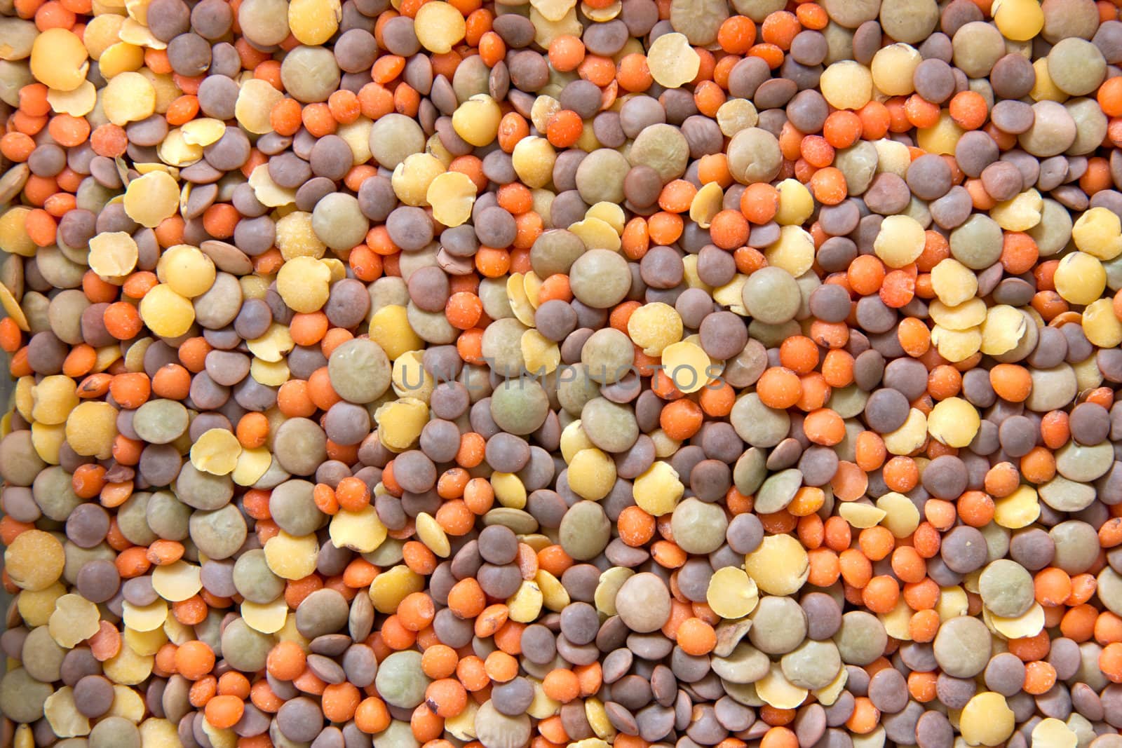 Lentils of the world  by raliand