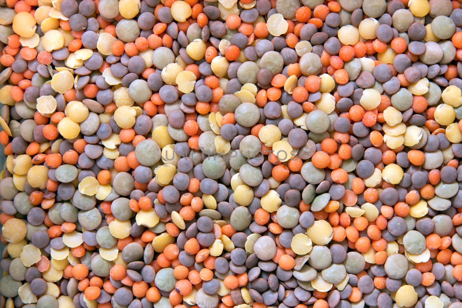 Lentils of the world by raliand