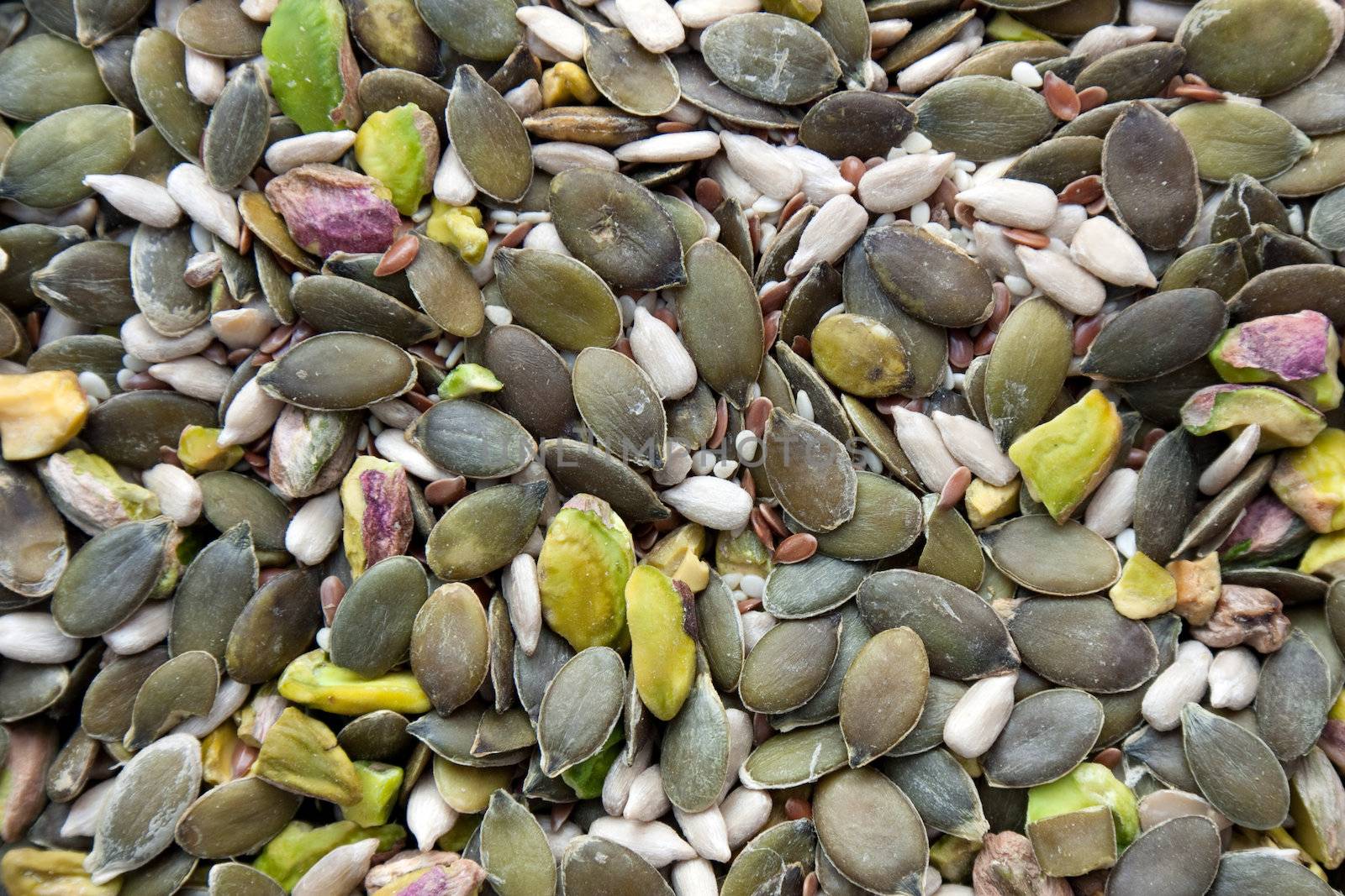 Close up on various types of seeds