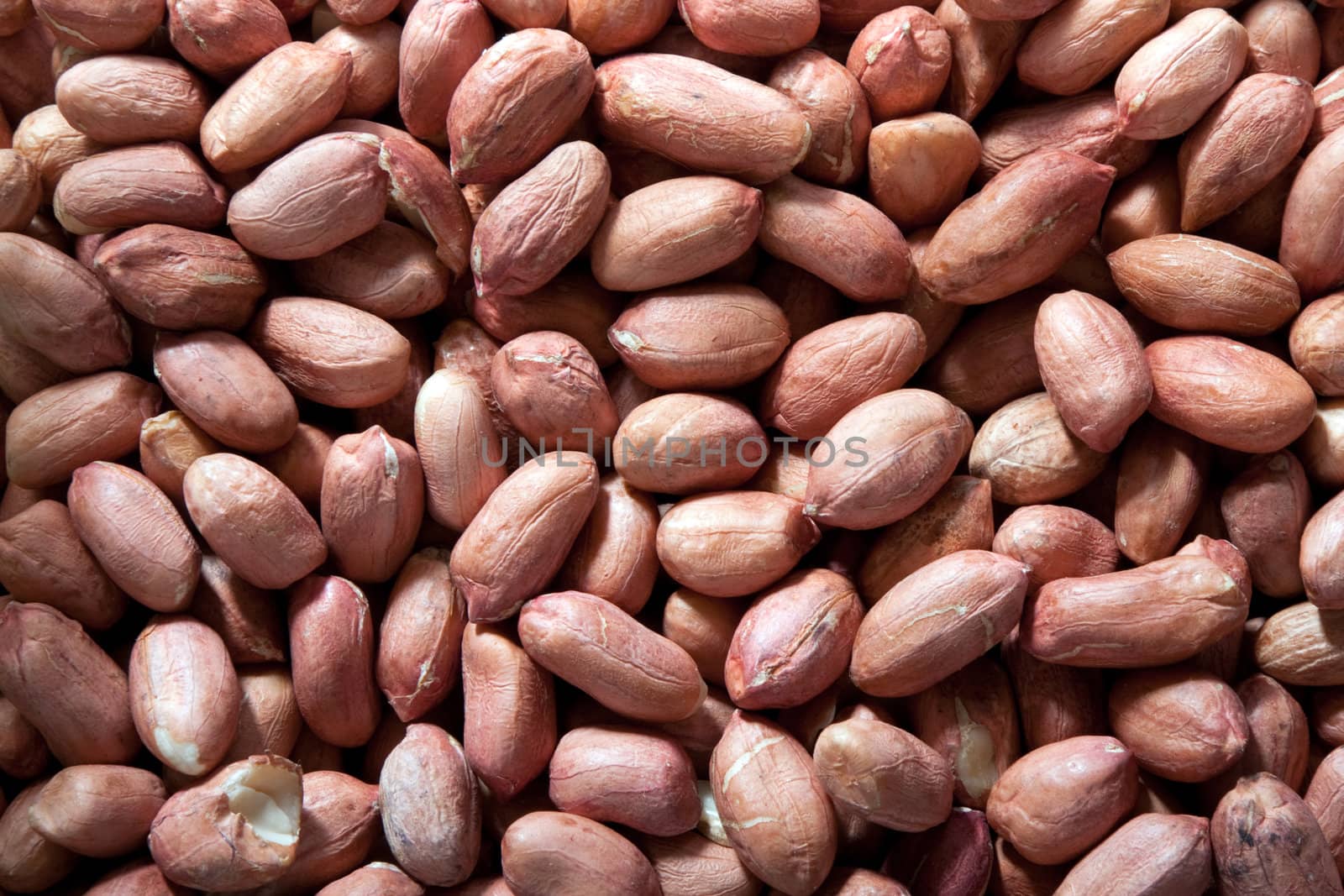 Close up on raw shelled peanuts
