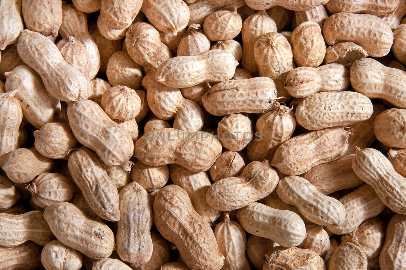 Close up on raw  peanuts in shells