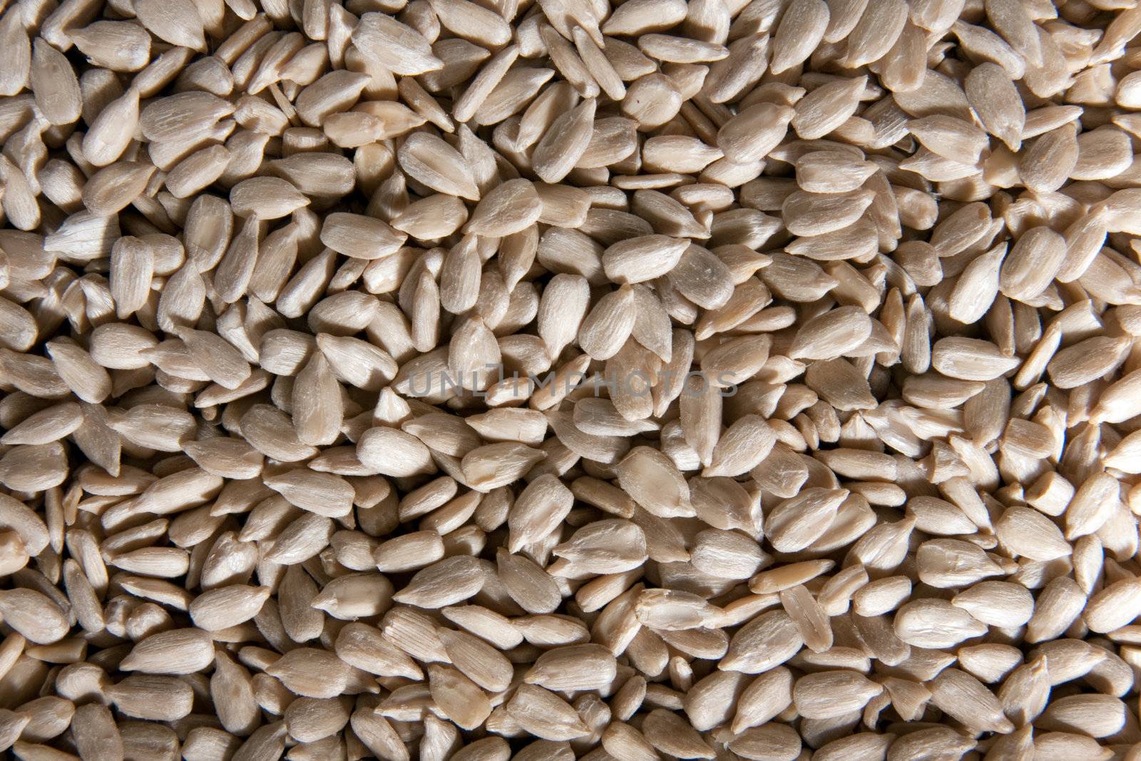 Close up on raw sunflower seeds