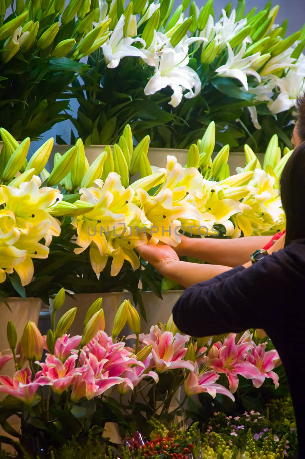 colorfull fresh lily flowers at the flowers market