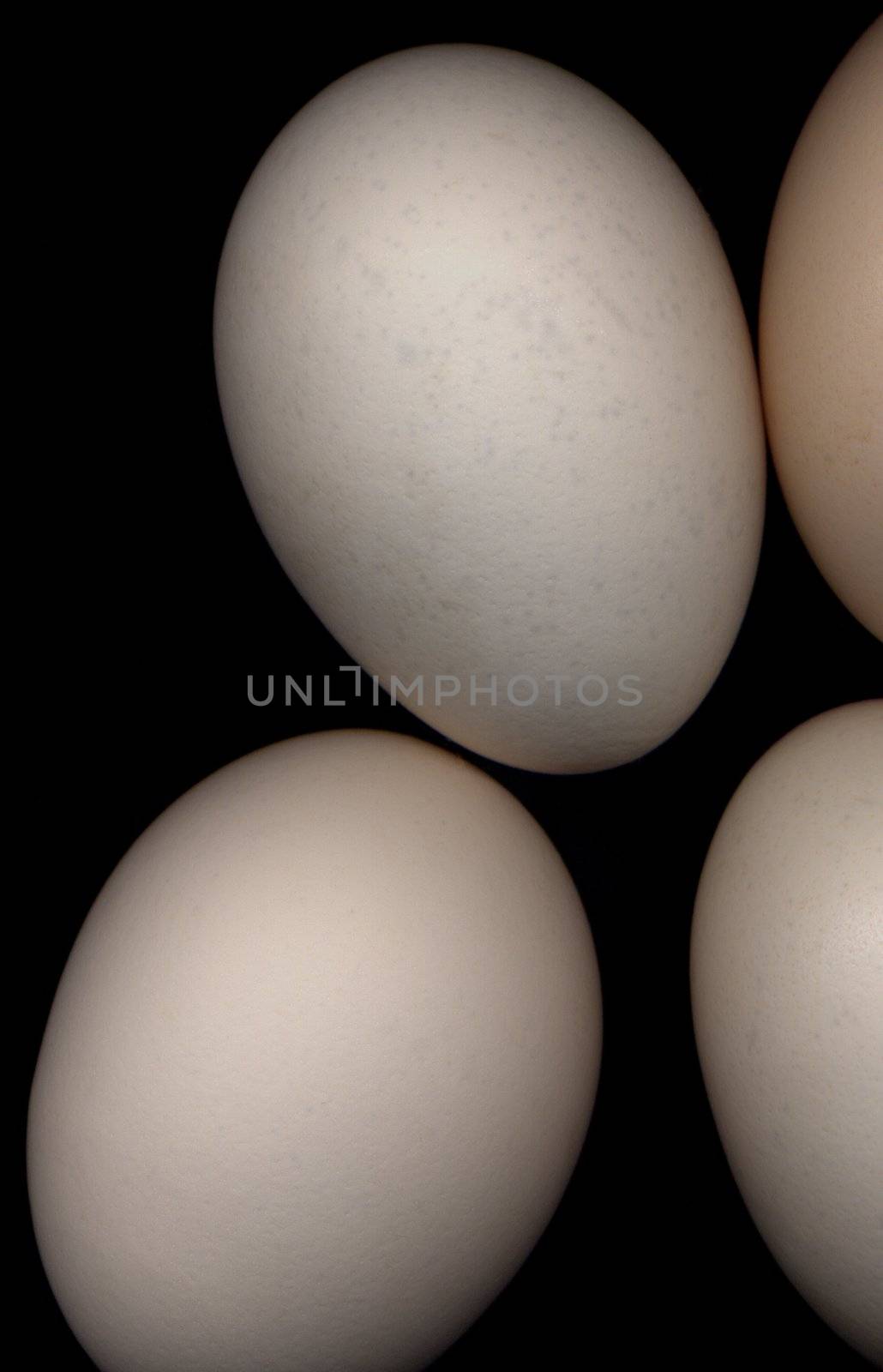 eggs on black background