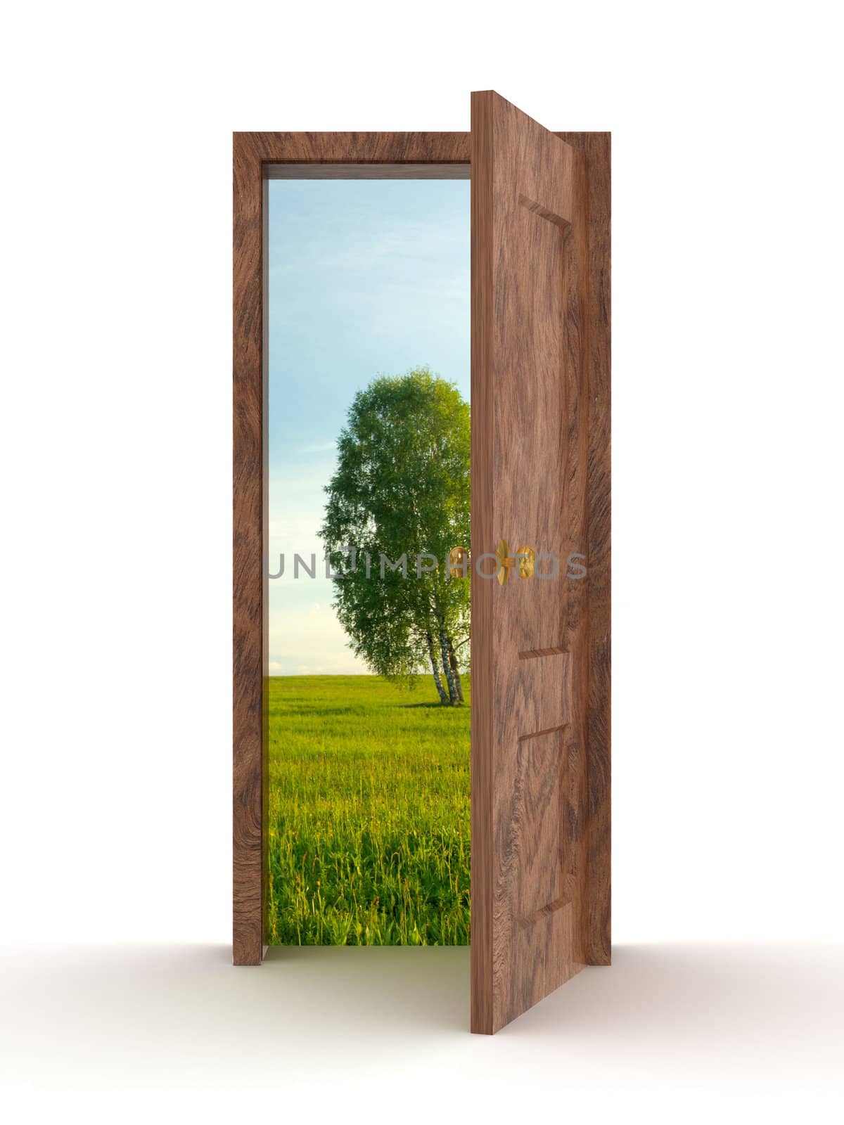 Landscape behind the open door. 3D image