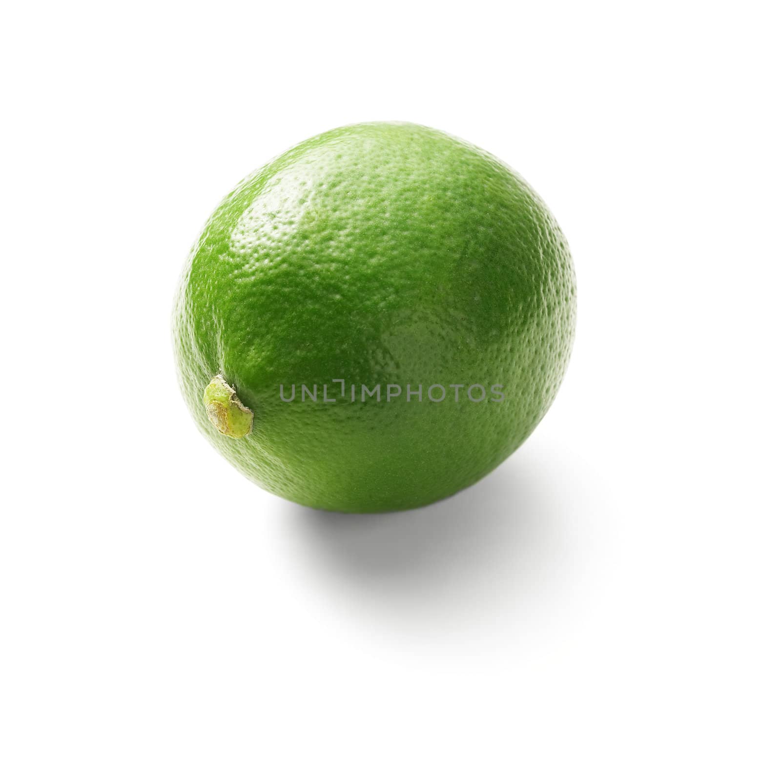 lime by keko64