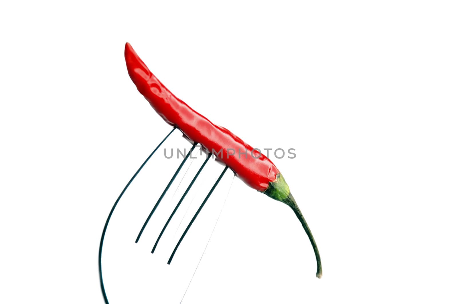 red chili pepper on a fork ,on white background