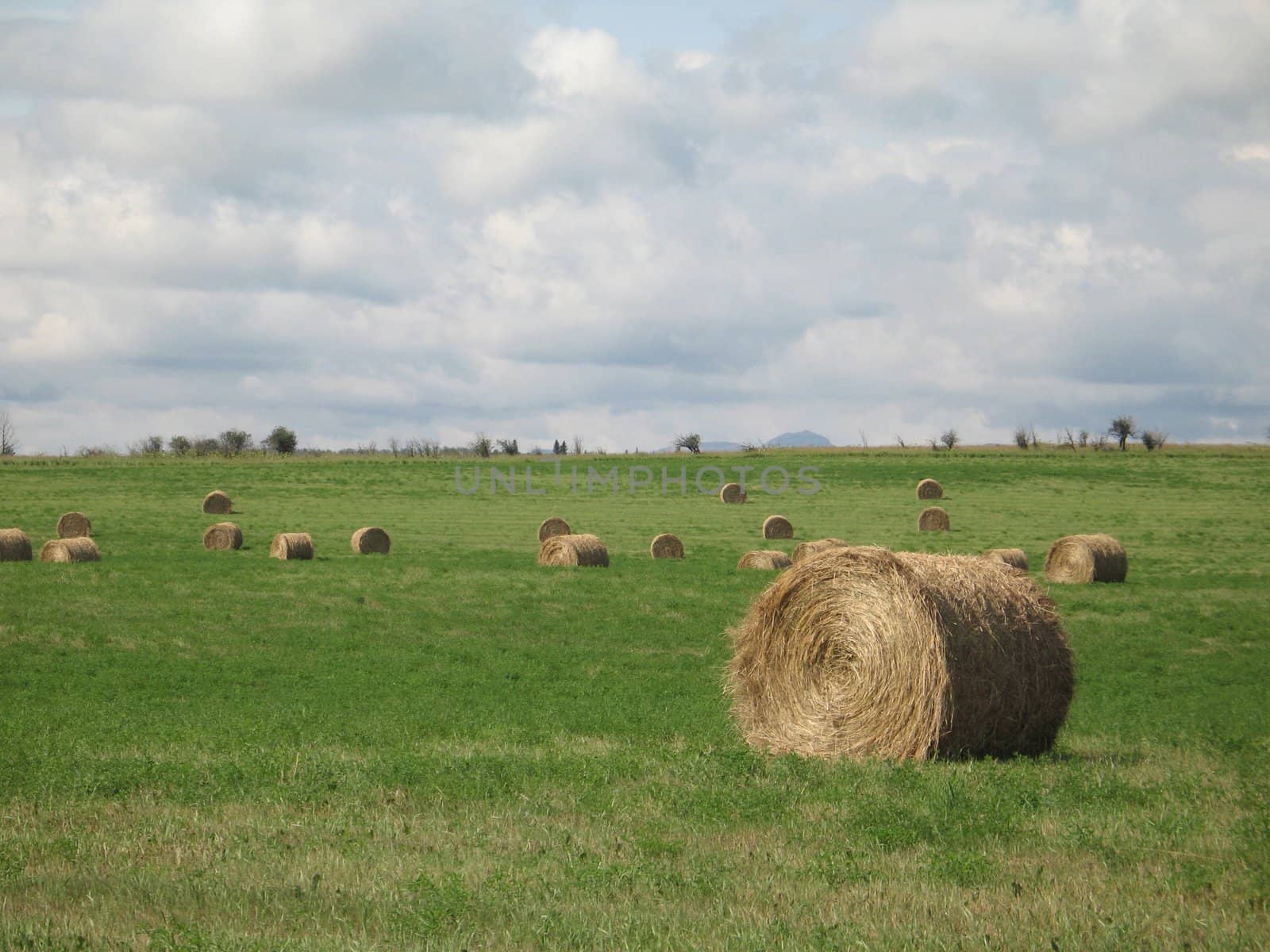 bales of hay in a field by mmm