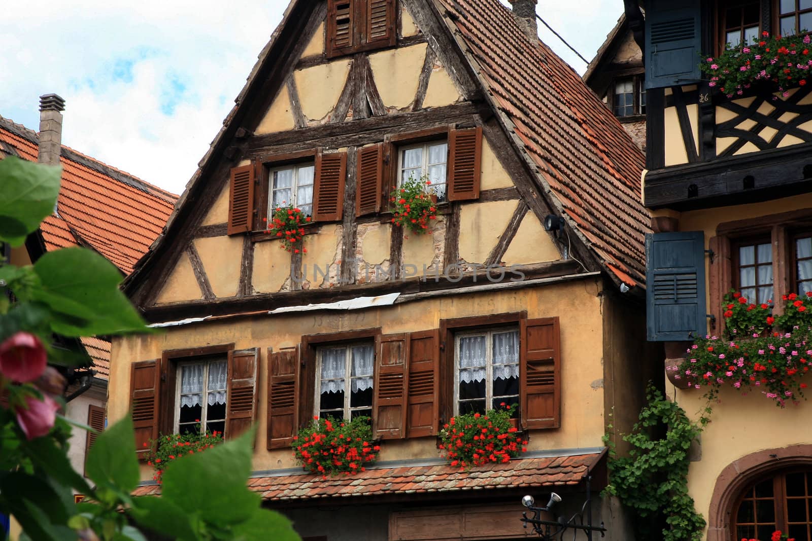 Typical colored houses in Alsace. Route des vines – France. Half-timbered wall.