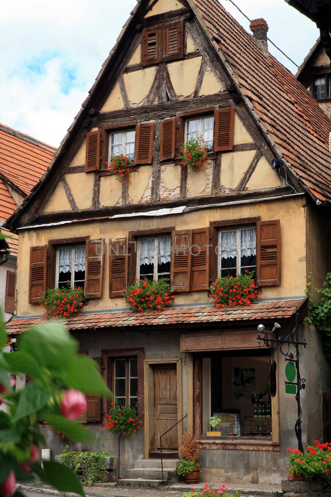 Typical colored houses in Alsace. Route des vines – France. Half-timbered wall.