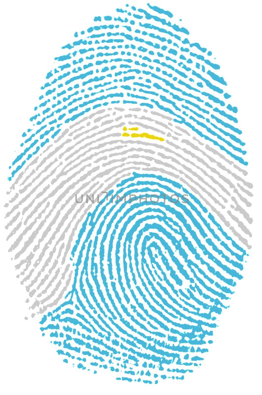 My Fingerprint for argentina