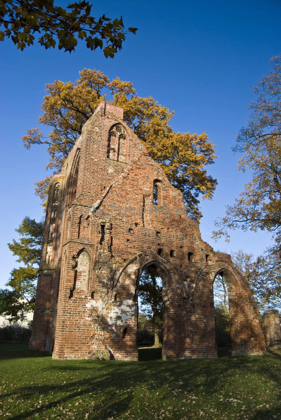 ruin of the monastery Eldena in Greifswald, germany