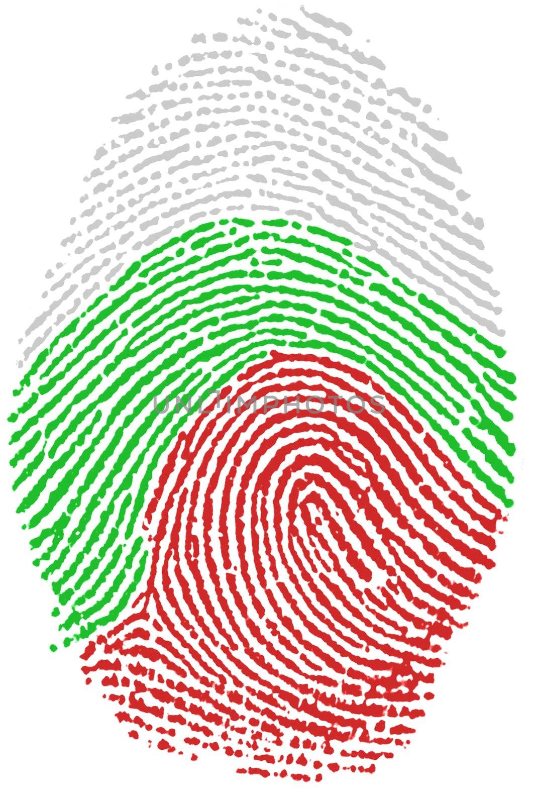 Fingerprint - Bulgaria by rigamondis