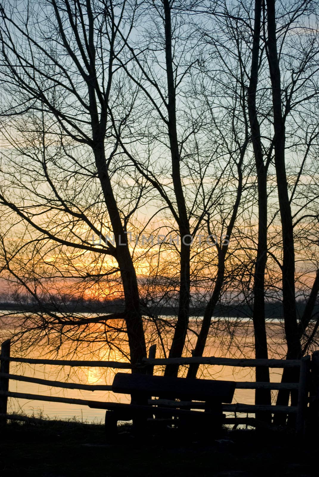 silhouette of a bench and trees at sunset