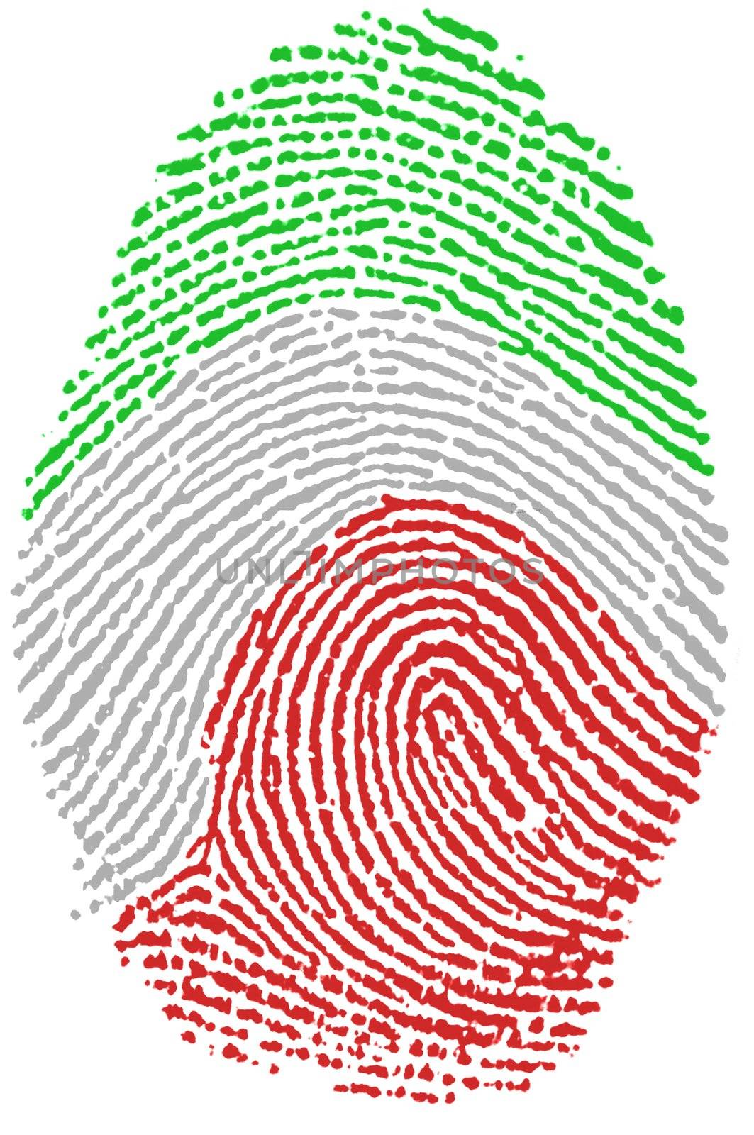 My Fingerprint for Italian  passport