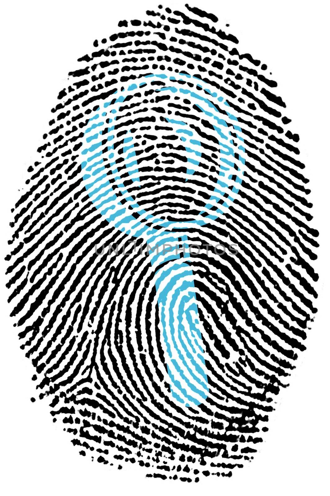 Fingerprint - search