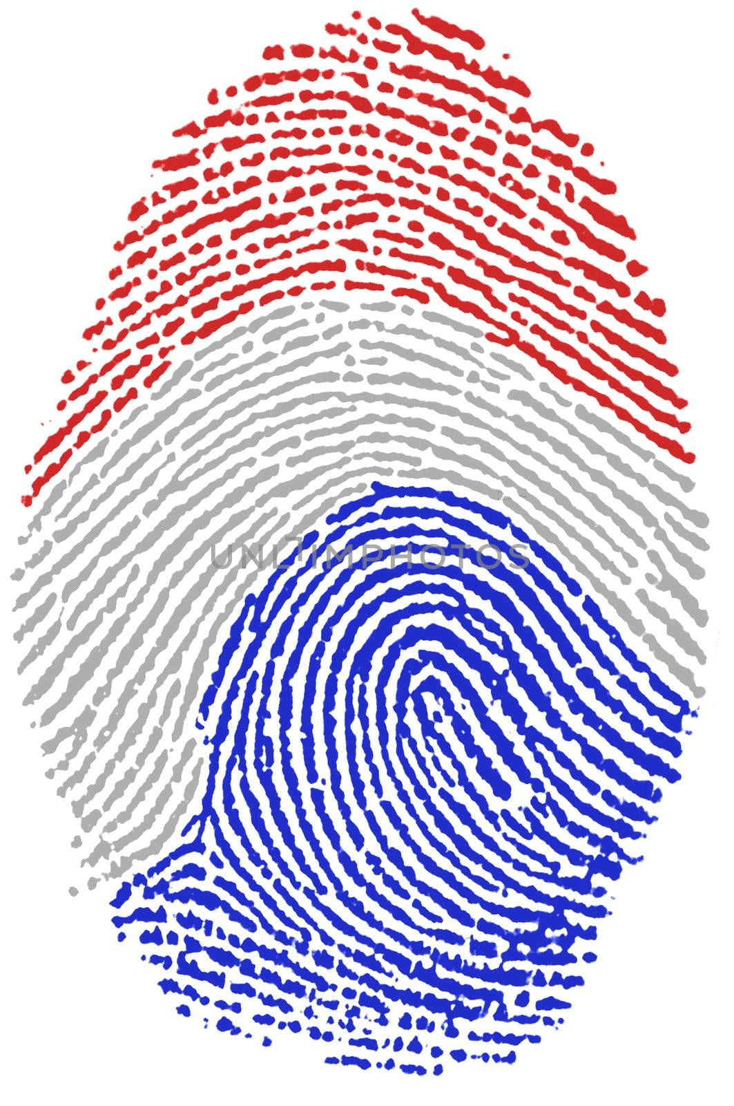 My Fingerprint for dutch passport