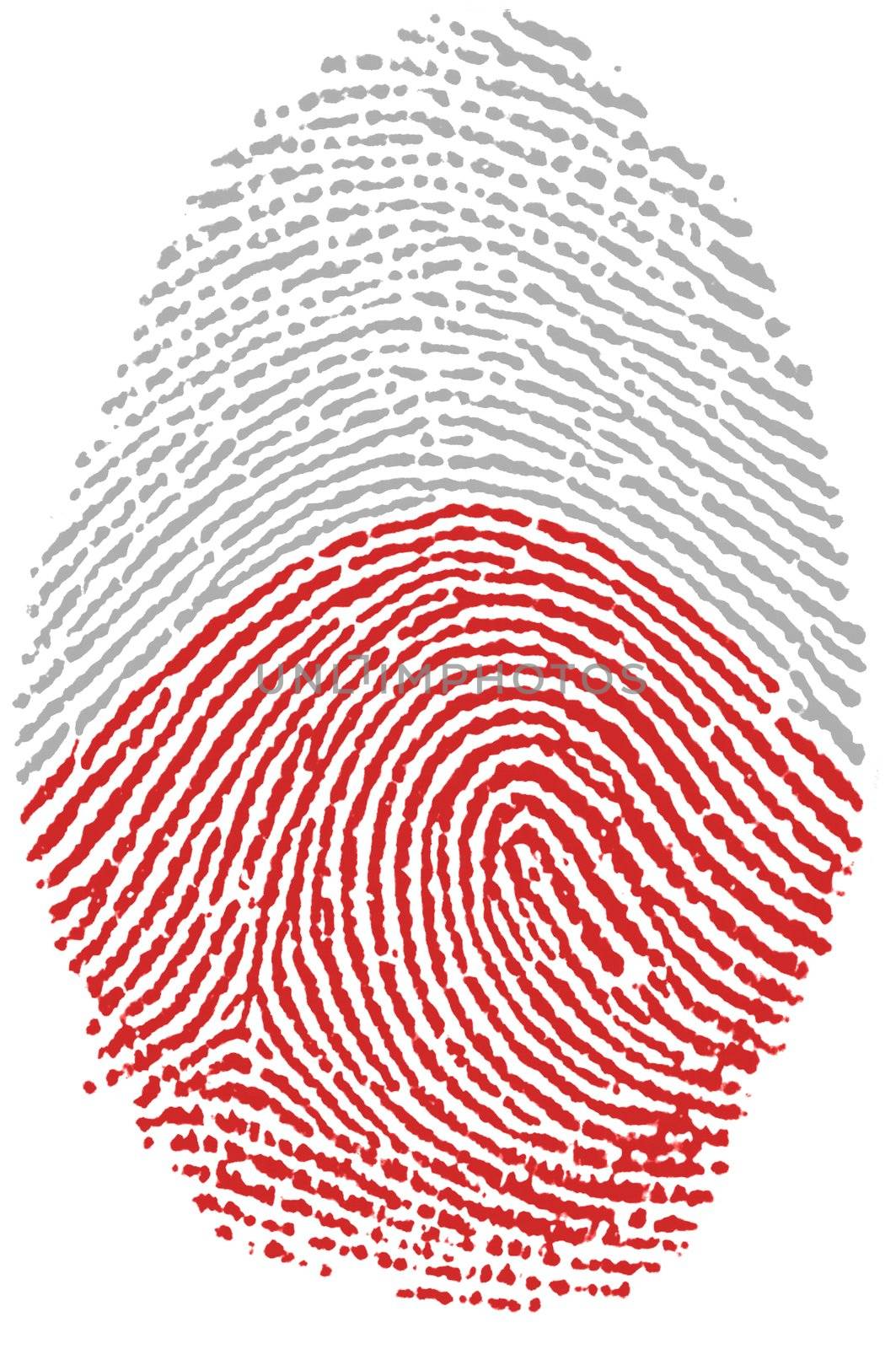 My Fingerprint for Poland passport