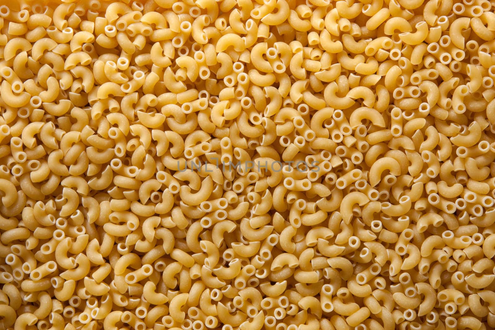 Close up on elbow macaroni