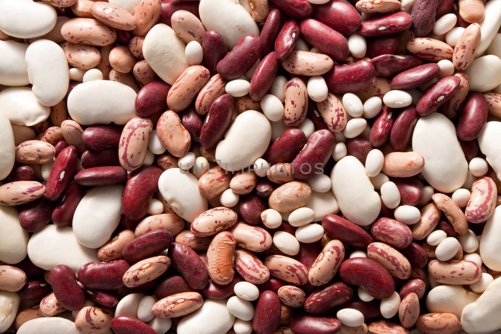 Close up on various types of beans